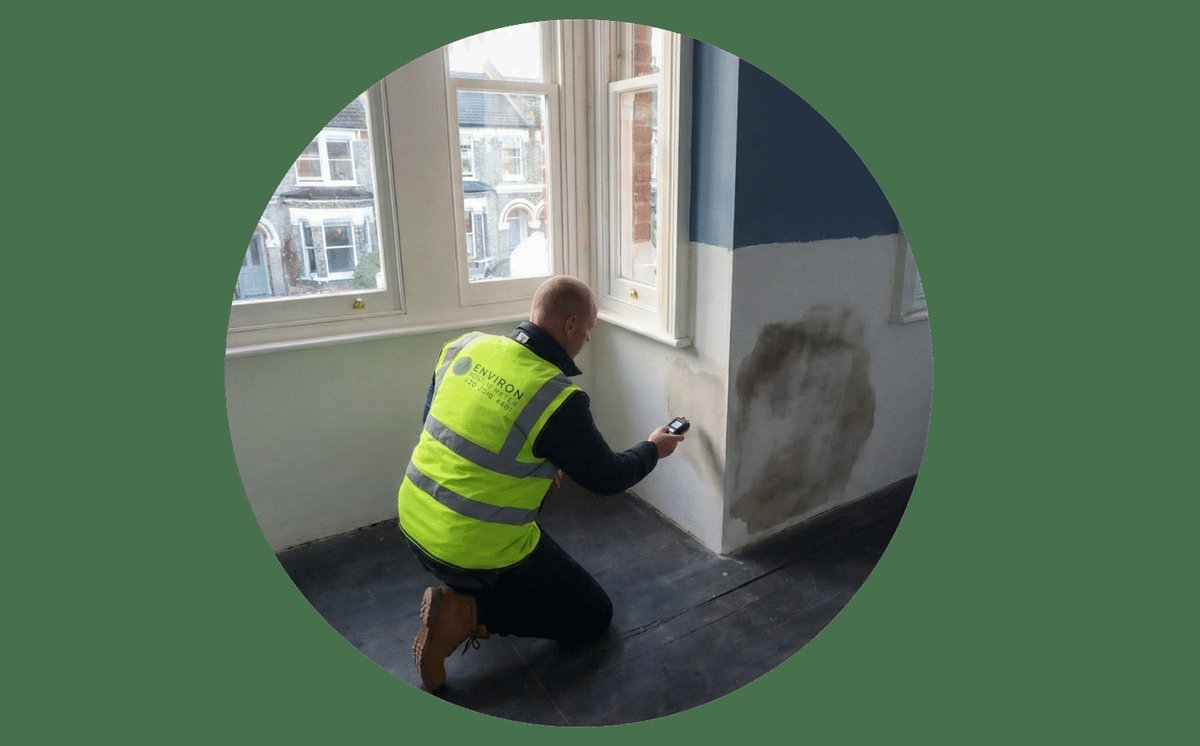 Employee inspecting dampness near a sash window.