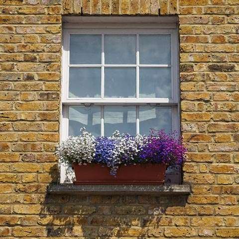Sash window with flower box