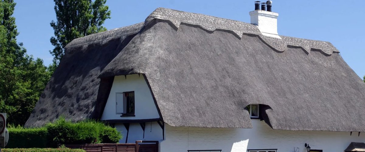 House with thatched roof