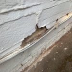 Ipswich Damp Proofing