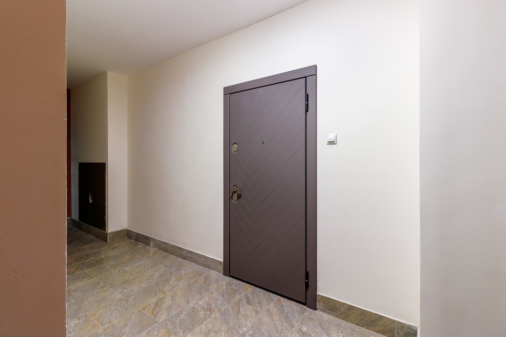 Image of a modern door in a hallway setting.