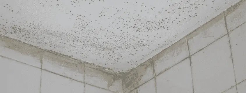 Toner Damp Proofing Ltd | Damp Proofing & Waterproofing | Belfast NI - period home restoration work